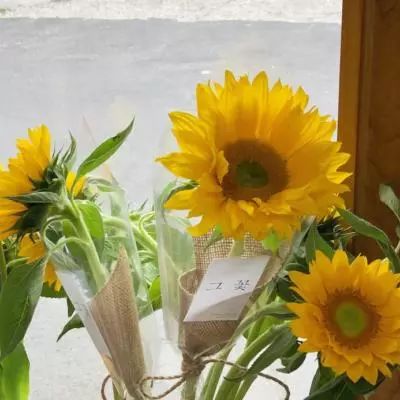 火博体育官方网入口下载